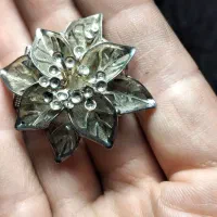 یک جفت گل سینه عطیقه قاجاری|کلکسیون اشیاء عتیقه|رشت, کاکتوس|دیوار