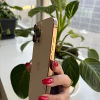 Iphone 16 pro max ایفون ۱۶ پرومکس|موبایل|تهران, اوین|دیوار