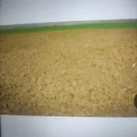 زمین کشاورزی