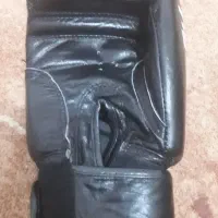 دستکش بوکش|تجهیزات ورزشی|رامشیر, |دیوار