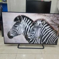 55 اینچ TCL اسمارت 4k