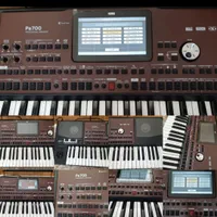 کیبورد(ارگ) کرگ مدلpa700 اورینتال