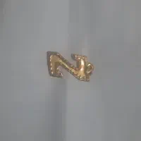 گوشواره و حروف طلا