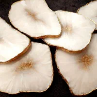 آموزش صفر تا صد رزین با تضمین 100٪ یادگیری|خدمات آموزشی|مشهد, راهنمایی|دیوار