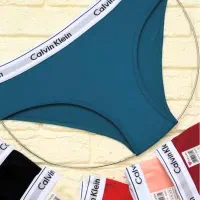 لباس زیر|لباس|سبزوار, بیهق شرقی|دیوار