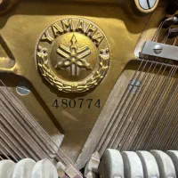 پیانو یاماها|پیانو، کیبورد، آکاردئون|زنجان, |دیوار