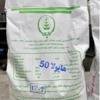 بذر کلزا رقم هیولا ۵۰ دولتی ۵۰ کیلو دارم فروشی