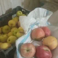 فروش عمده سیب درجه یک و دو|خوردنی و آشامیدنی|صائین قلعه, |دیوار