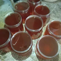 عسل شهد و مومدار
