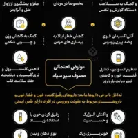 سیر سیاه|خوردنی و آشامیدنی|تهران, مولوی|دیوار