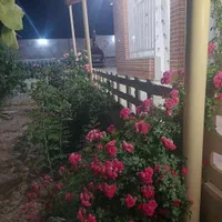 اجاره باغ ویلا کهریسنگ (ملک شخصی)