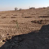 نیم هکتار زمین صنعتی