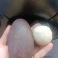 سنگ های قدیمی|کلکسیون اشیاء عتیقه|میاندوآب, |دیوار