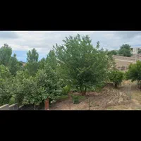 اجاره روزانه ، هفتگی و ماهانه خانه ویلایی|اجارهٔ کوتاه‌مدت آپارتمان و سوئیت|اهر, |دیوار
