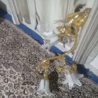 لوستر