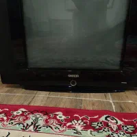 تلویزیون|تلویزیون و پروژکتور|قروه, |دیوار