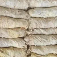 کاهو برگ قرمز و طلایی برازجان|خدمات باغبانی و درختکاری|بوشهر, |دیوار