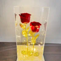 کادو گل جاودان ریسه دار