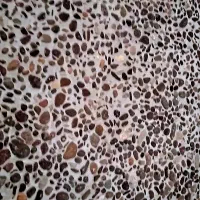 کفسازی ویلا، واش بتن، موزاییک‌درجا، باتامین متریال|خدمات پیشه و مهارت|لاهیجان, بازکیاگوراب|دیوار