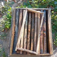 کندو خالی|حیوانات مزرعه|آبش احمد, |دیوار