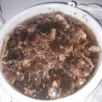 عسل طبیعی|خوردنی و آشامیدنی|اهواز, کوی علوی|دیوار