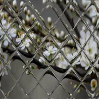 مرکز پخش آسمان مجازی پوستر۳بعدی کناف کلیک|مصالح و تجهیزات ساختمان|کرمان, |دیوار