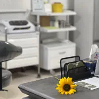 همکاری در مطب زیبایی، لیزر