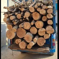 هرس خرید چوب قطع و بریدن درخت سم پاشی چمن وعلف زنی|خدمات باغبانی و درختکاری|کرمانشاه, |دیوار
