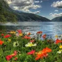 سفر تفریحی به شمال
