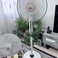 پنکه