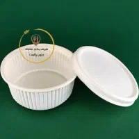 یکبارمصرف گیاهی