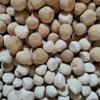 کشک محلی بز - طعم اصیل و سلامتی در هر لقمه