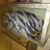 آکواریوم بزرگ