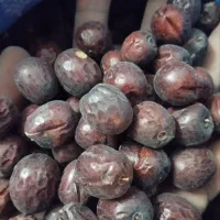 عناب حبه عناب