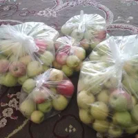 سیب محلی دلی خیارکال|خوردنی و آشامیدنی|لنده, |دیوار