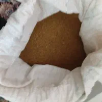 بذر یونجه