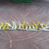 کلکسیس|مجسمه، تندیس، ماکت|مشهد, شهرک شیرین|دیوار