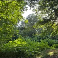 خونه 300متری گلمکان