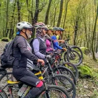 هم رکاب و همنورد خانم