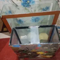 آکواریوم برای ماهی بسیار مستحکم و قوی