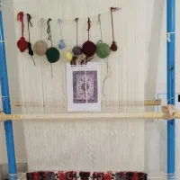 داروکول دوتاپشتی