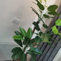 درختچه مصنوعی