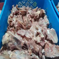 اسکلت مرغ، کله مرغ