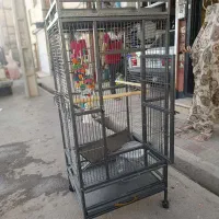 قفس بزرگ طوطی در حد نو|لوازم جانبی حیوانات|رباطکریم, رباطکریم|دیوار