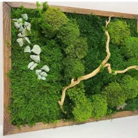 اجرای طرح دیوار سبز (خزتثبیت)|تابلو، نقاشی، عکس|شیراز, گلکوب|دیوار