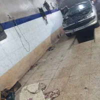 نیازمند همکار ماهر جلوبندی ساز