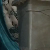 گلدان پلاستیکی|گل و گیاه طبیعی|الوند, |دیوار