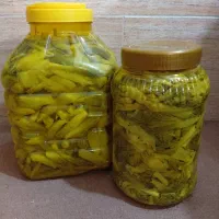 ترشی بیلهر