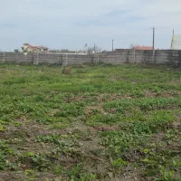 زمین فروشی 430مترچهاردیواری درسوراپشت|فروش زمین و ملک کلنگی|تالش, هشتپر|دیوار