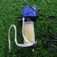 آب فارون|ماهی|ایرانشهر, |دیوار